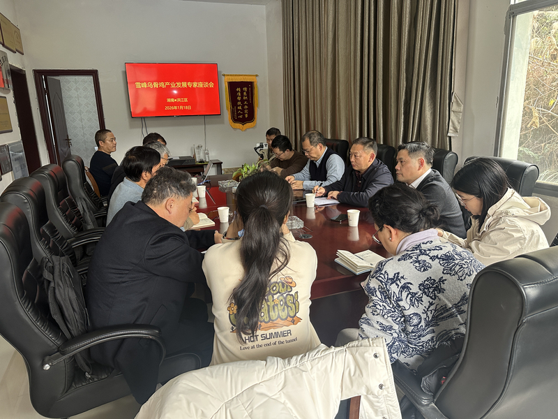 1769052153222071421.jpg 2.jpg