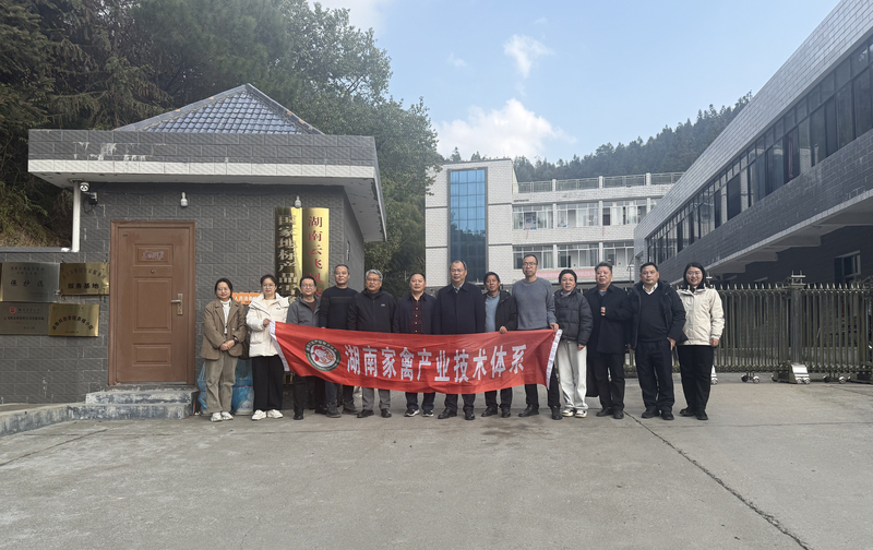 1769052268257049850.jpg 1.jpg